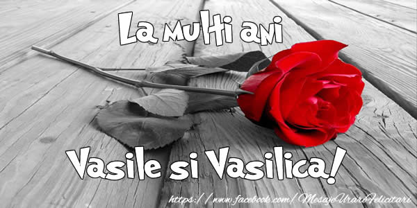 La multi ani Vasile si Vasilica!