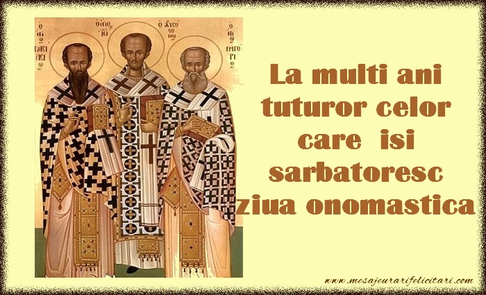 Felicitari de Sfintii Vasile, Grigore si Ioan - La multi ani tuturor celor care isi  sarbatoresc  ziua onomastica - mesajeurarifelicitari.com