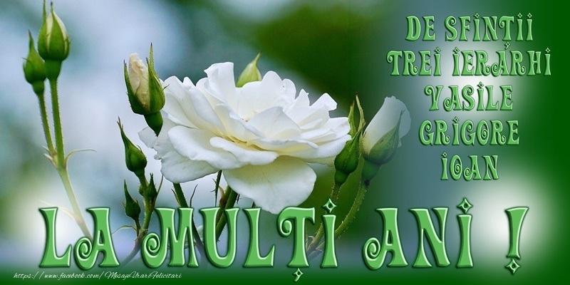 La multi ani de Sfintii Vasile, Grigore si Ioan!