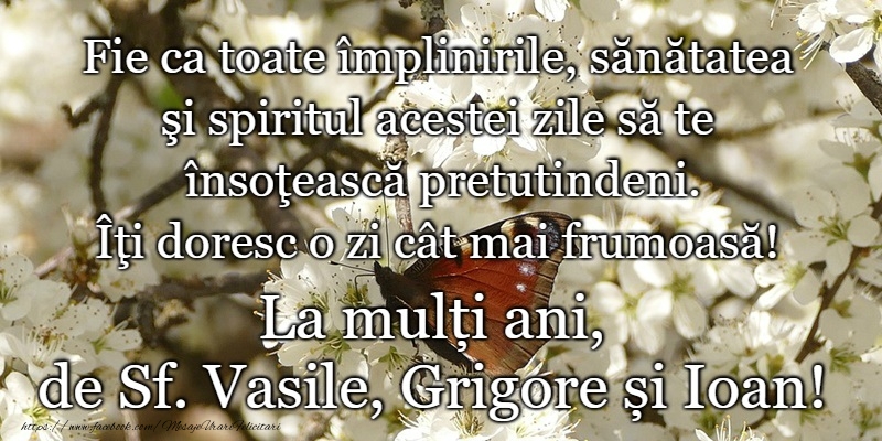 La multi ani de Sfintii Vasile, Grigore si Ioan!