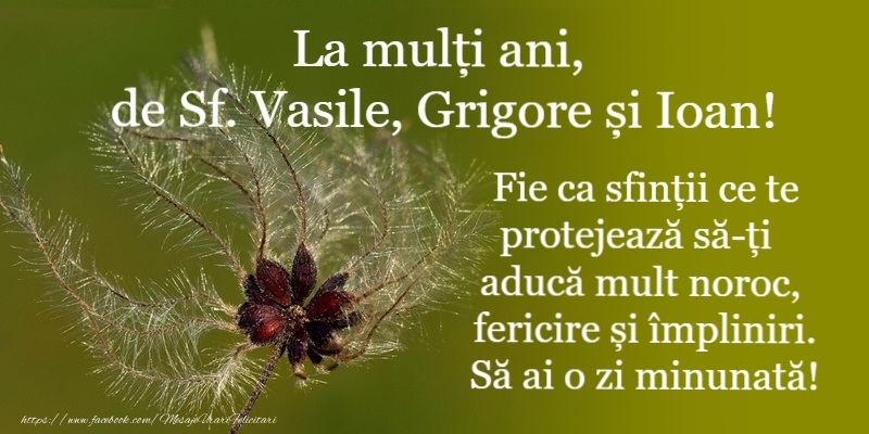 La multi ani de Sfintii Vasile, Grigore si Ioan!