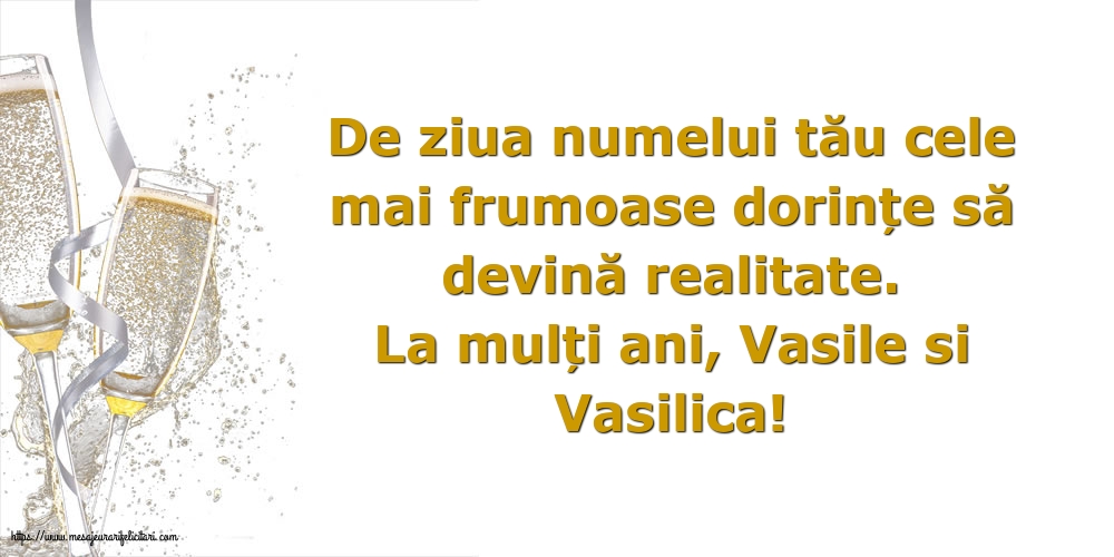 La mulți ani, Vasile si Vasilica!