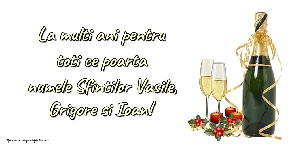 Felicitari de Sfintii Vasile, Grigore si Ioan - La multi ani pentru toti ce poarta numele Sfintilor Vasile, Grigore si Ioan! - mesajeurarifelicitari.com