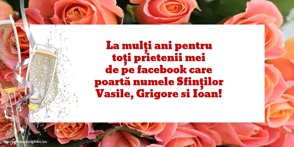 Felicitari de Sfintii Vasile, Grigore si Ioan - La mulți ani pentru toți prietenii mei de pe facebook - mesajeurarifelicitari.com