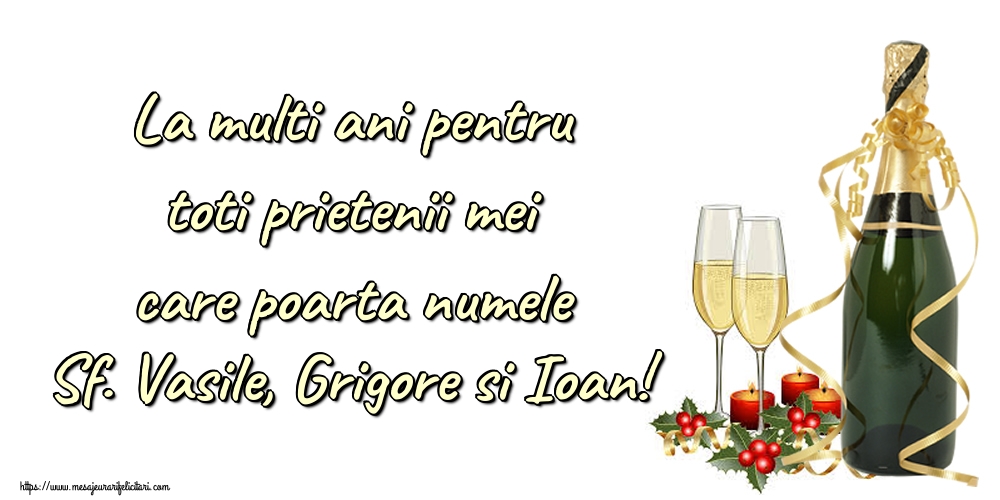 Felicitari de Sfintii Vasile, Grigore si Ioan - La multi ani pentru toti prietenii mei care poarta numele Sf. Vasile, Grigore si Ioan! - mesajeurarifelicitari.com