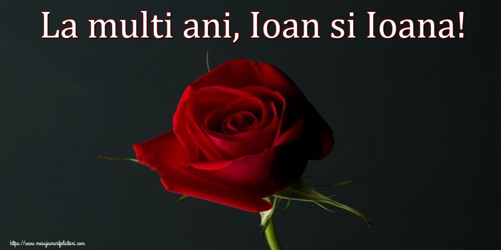 Sfintii Vasile, Grigore si Ioan La multi ani, Ioan si Ioana!