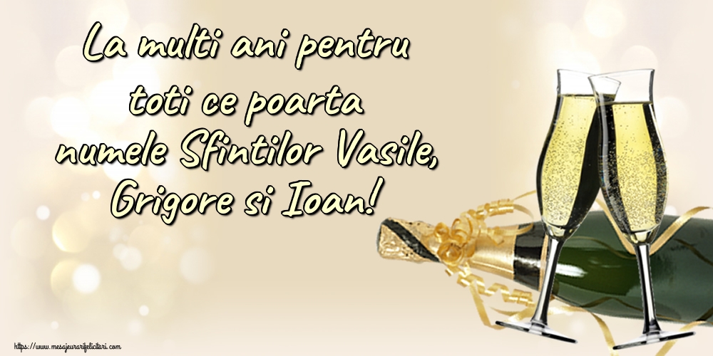 La multi ani pentru toti ce poarta numele Sfintilor Vasile, Grigore si Ioan!