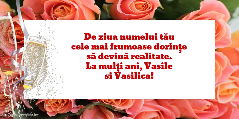 La mulți ani, Vasile si Vasilica!