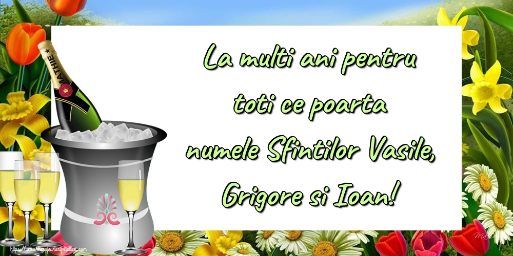 Felicitari de Sfintii Vasile, Grigore si Ioan - La multi ani pentru toti ce poarta numele Sfintilor Vasile, Grigore si Ioan! - mesajeurarifelicitari.com