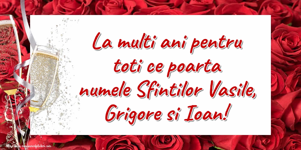 Felicitari de Sfintii Vasile, Grigore si Ioan - La multi ani pentru toti ce poarta numele Sfintilor Vasile, Grigore si Ioan! - mesajeurarifelicitari.com