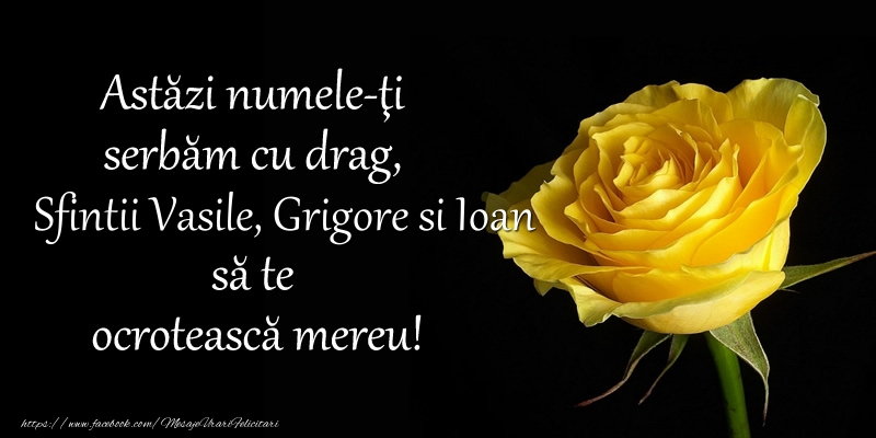 Astazi numele-ti serbam cu drag, Sfintii Vasile, Grigore si Ioan sa te  ocroteasca mereu!