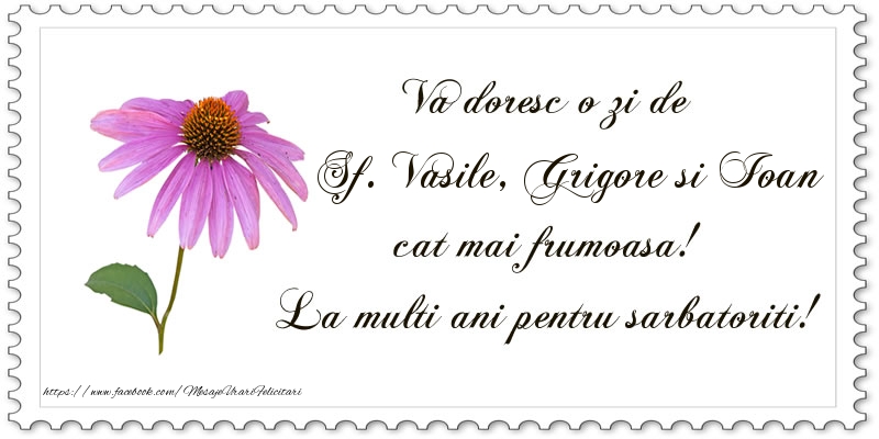 Va doresc o zi de Sf. Vasile, Grigore si Ioan cat mai frumoasa! La multi ani pentru sarbatoriti!