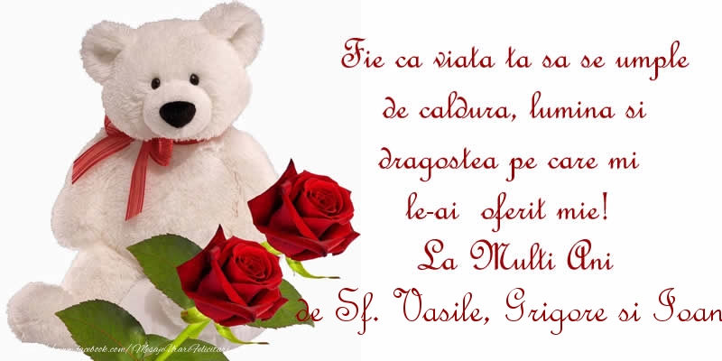 Fie ca viata ta sa se umple de caldura, lumina si dragostea pe care mi le-ai  oferit mie!  La Multi Ani de Sf. Vasile, Grigore si Ioan!