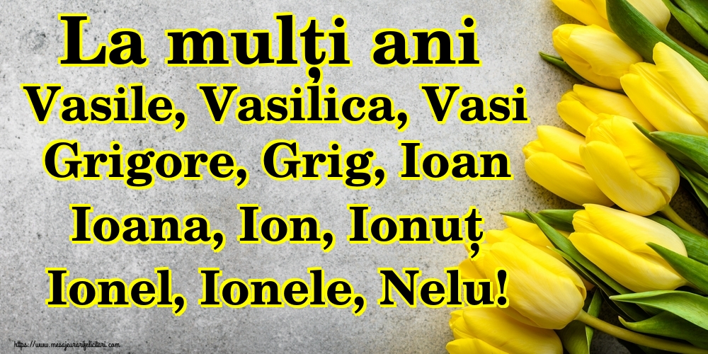 La mulți ani Vasile, Vasilica, Vasi Grigore, Grig, Ioan Ioana, Ion, Ionuț Ionel, Ionele, Nelu!