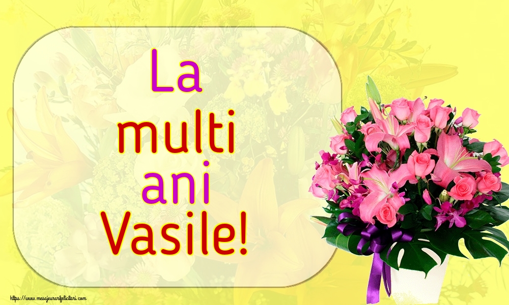 La multi ani Vasile!