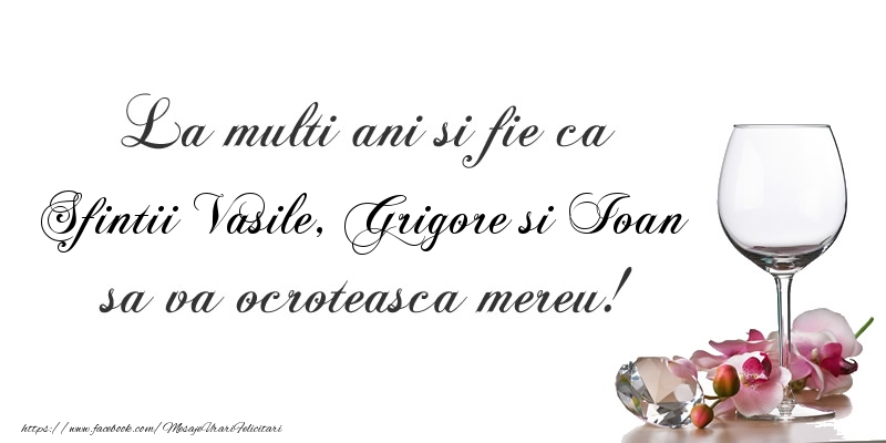 La multi ani si fie ca Sfintii Vasile, Grigore si Ioan sa va ocroteasca mereu!