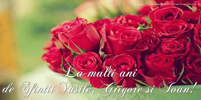 La multi ani de Sfintii Vasile, Grigore si Ioan!