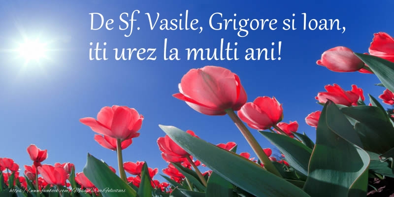 De Sf. Vasile, Grigore si Ioan, iti urez La multi ani!