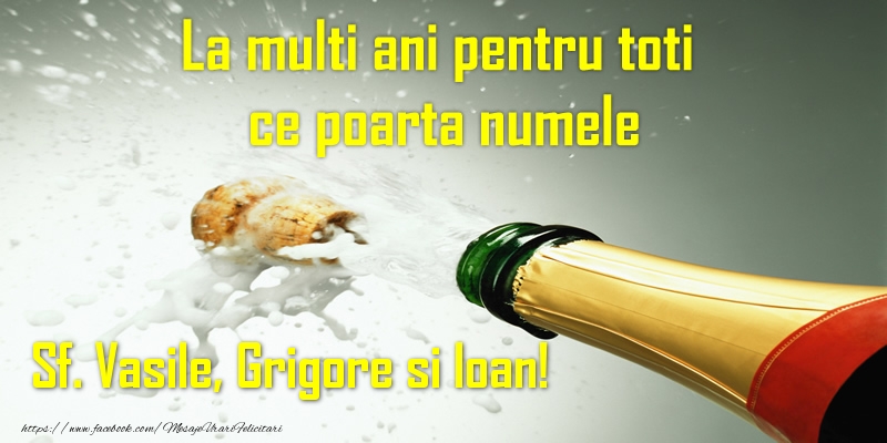 La multi ani pentru toti ce poarta numele Sf. Vasile, Grigore si Ioan!