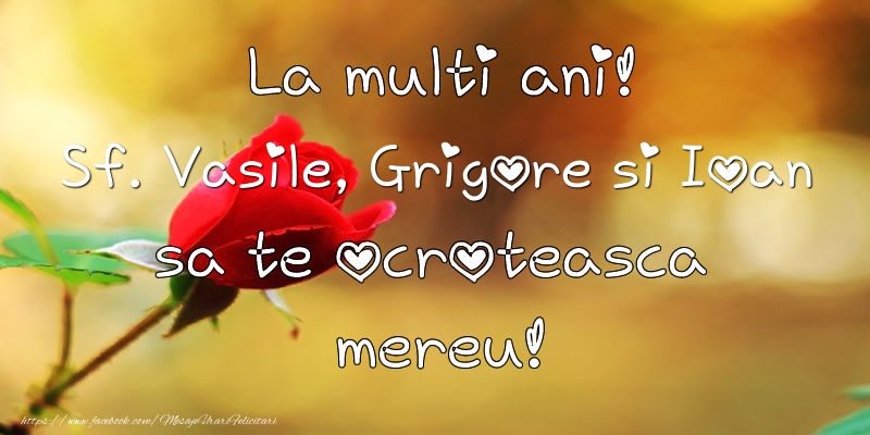 La multi ani! Sf. Vasile, Grigore si Ioan sa te ocroteasca mereu!