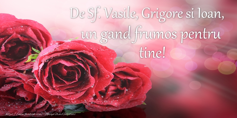 De Sf. Vasile, Grigore si Ioan, un gand frumos pentru tine!