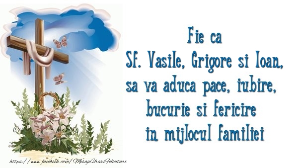 Fie ca Sf. Vasile, Grigore si Ioan sa va aduca pace, iubire, bucurie si fericire in mijlocul familiei
