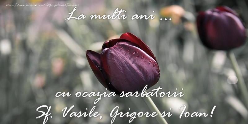 La multi ani ... cu ocazia sarbatorii Sf. Vasile, Grigore si Ioan!