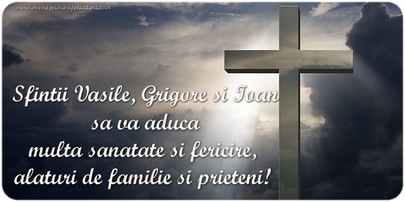 Sfintii Vasile, Grigore si Ioan  sa va aduca  multa sanatate si fericire,  alaturi de familie si prieteni!