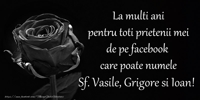 La multi ani pentru toti prietenii mei de pe facebook care poate numele Sf. Vasile, Grigore si Ioan!