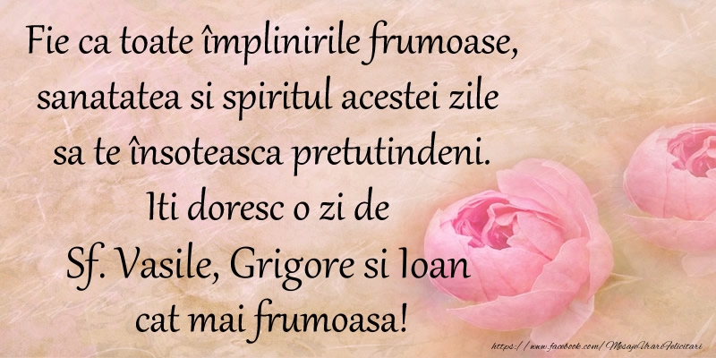 Fie ca toate implinirile frumoase, sanatatea si spiritul acestei zile sa te insoteasca pretutindeni. Iti doresc o zi de Sf. Vasile, Grigore si Ioan cat mai frumoasa!