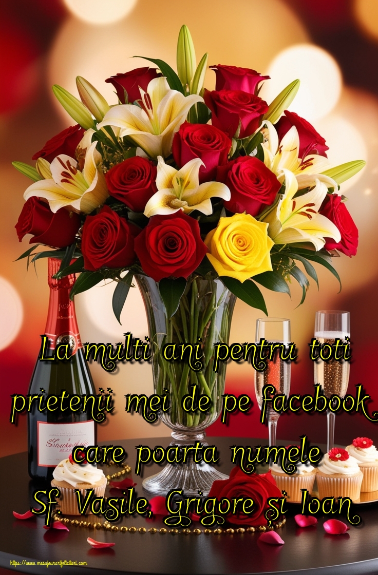 La multi ani pentru toti prietenii mei de pe facebook care poarta numele Sf. Vasile, Grigore și Ioan