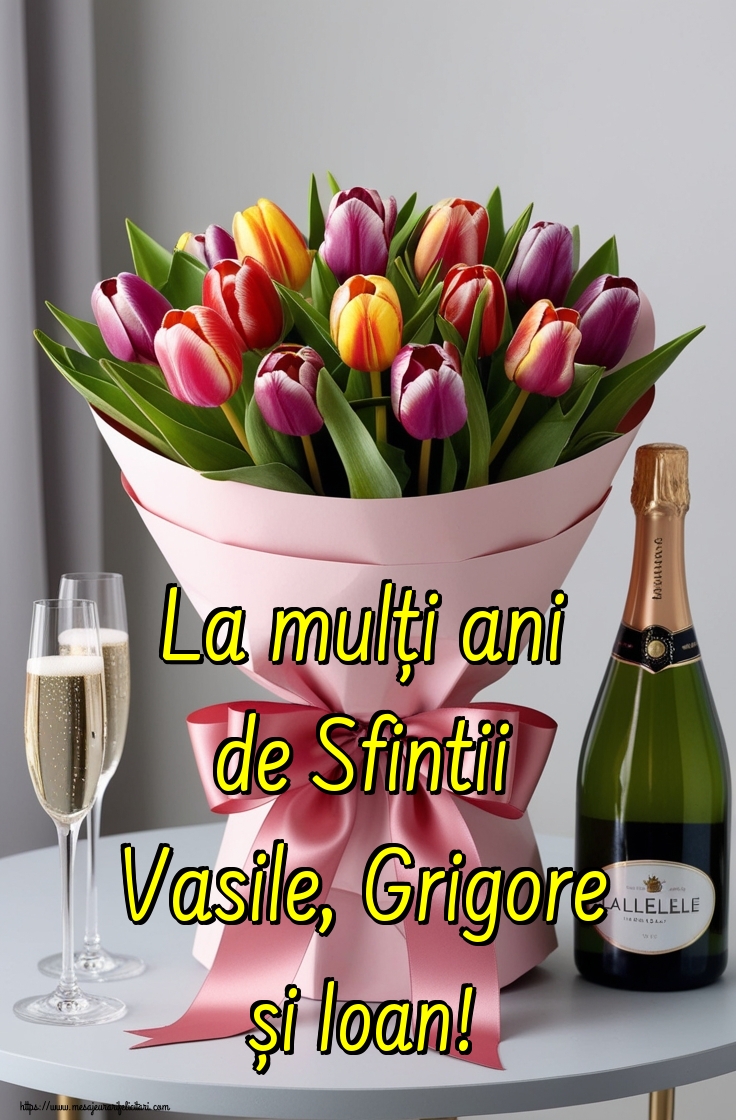 La mulți ani de Sfintii Vasile, Grigore și Ioan!
