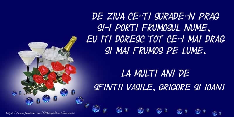 De ziua ce-ti surade-n prag Si-i porti frumosul nume, Eu iti doresc tot ce-i mai drag Si mai frumos pe lume. La multi ani de Sfintii Vasile, Grigore si Ioan!