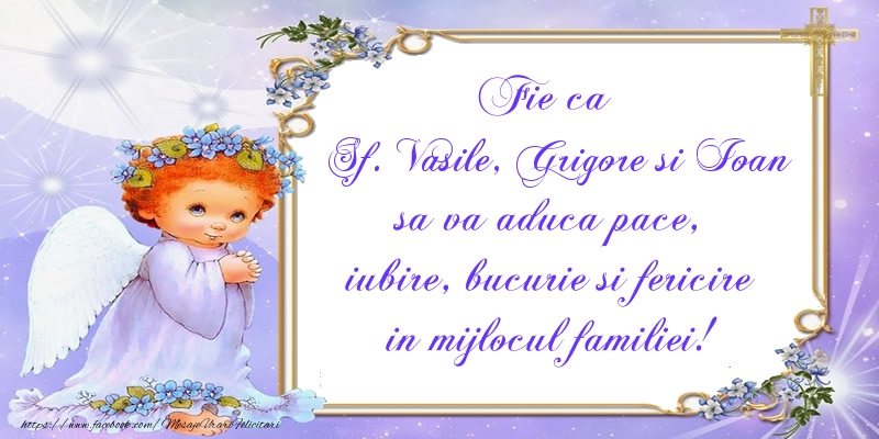 Fie ca Sf. Vasile, Grigore si Ioan sa va aduca pace, iubire, bucurie si fericire in mijlocul familiei!