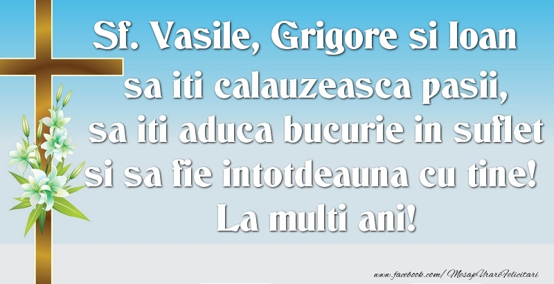 Sf. Vasile, Grigore si Ioan