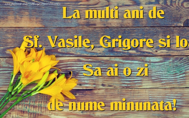Sf. Vasile, Grigore si Ioan