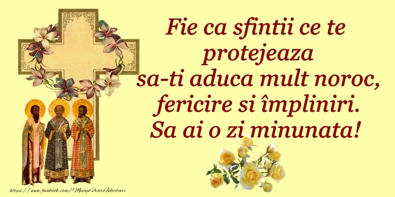 Felicitari de Sfintii Vasile, Grigore si Ioan - Fie ca sfintii care te protejeaza sa-ti aduca mult noroc, fericire si impliniri. Sa ai o zi minunata! - mesajeurarifelicitari.com