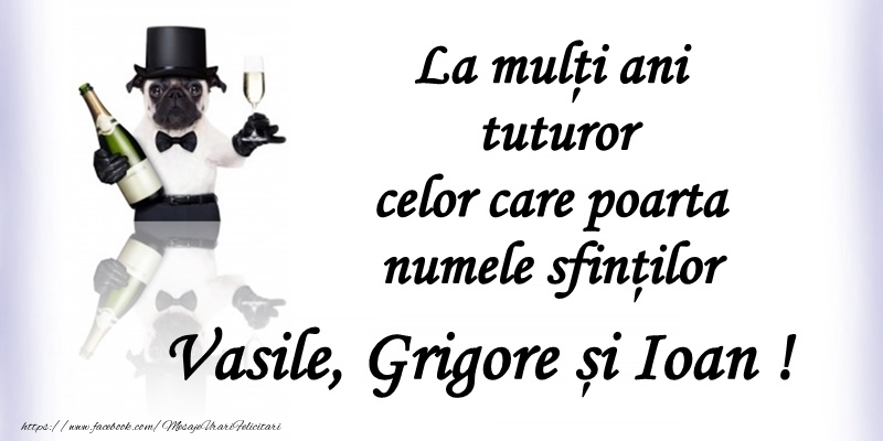 Felicitari de Sfintii Vasile, Grigore si Ioan - La multi ani tuturor celor care poarta numele sfintilor Vasile, Grigore si Ioan! - mesajeurarifelicitari.com