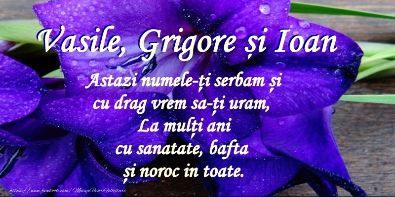 La multi ani de Sfintii Trei Ierarhi Vasile, Grigore si Ioan!