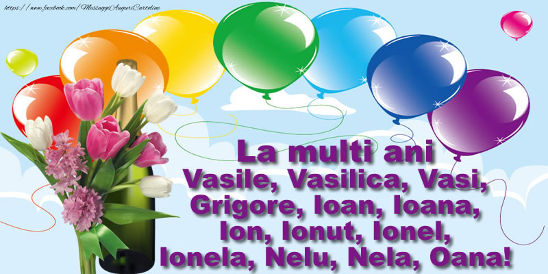 La multi ani Vasile, Vasilica, Vasi, Grigore, Ioan, Ioana, Ion, Ionut, Ionel, Ionela, Nelu, Nela, Oana!