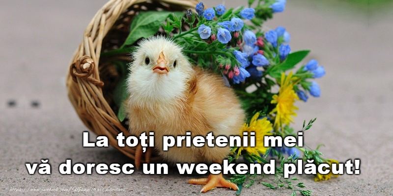 Felicitari de Weekend - Weekend placut! - mesajeurarifelicitari.com