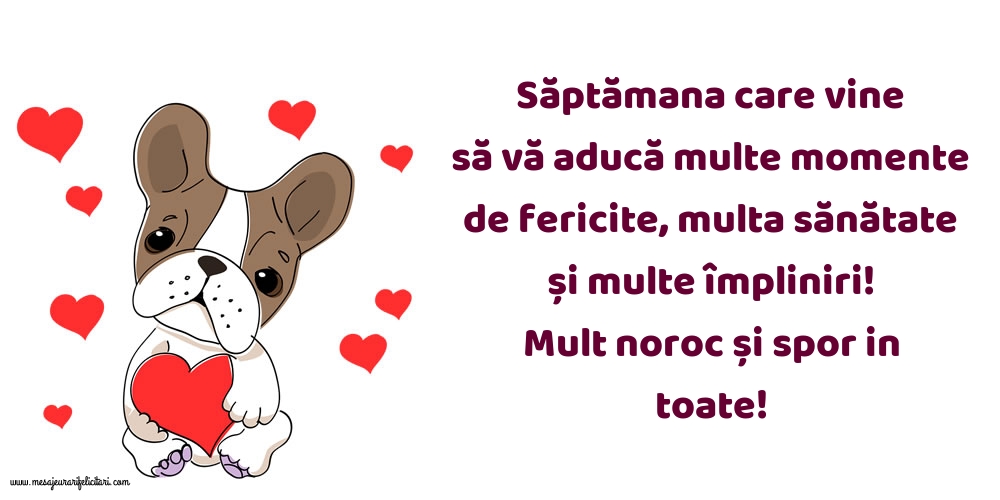 Mult noroc și spor in toate!