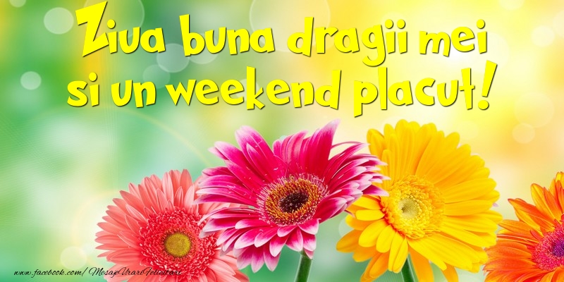Ziua buna dragii mei si un weekend placut
