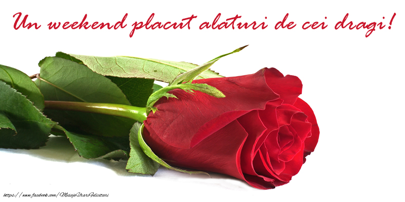 Un weekend placut alaturi de cei dragi!