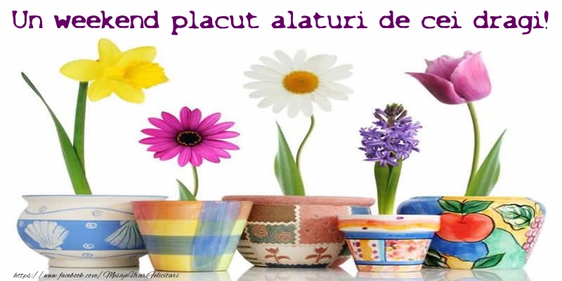 Un weekend placut alaturi de cei dragi!