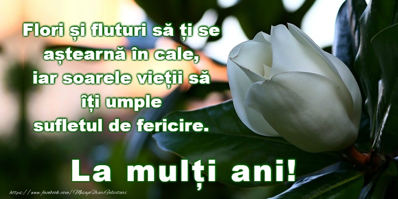 Felicitari de zi de nastere - La multi ani! - mesajeurarifelicitari.com
