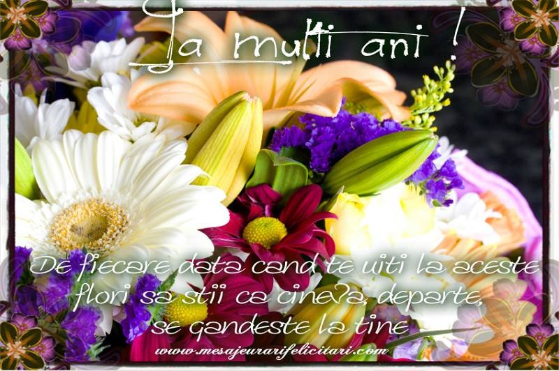 De fiecare data cand te uiti la aceste flori sa stii ca cineva, departe, se gandeste la tine.