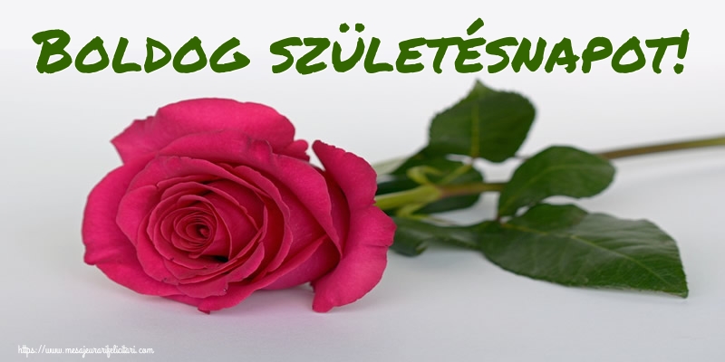 Felicitari de zi de nastere in Maghiara - Boldog születésnapot!