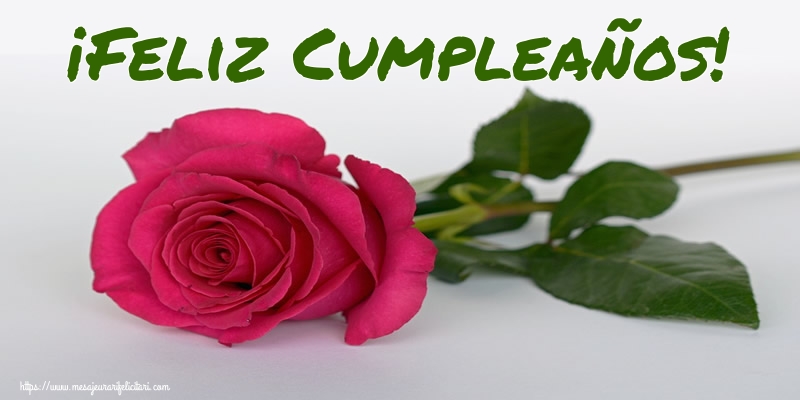 Felicitari de zi de nastere in Spaniola - ¡Feliz Cumpleaños!