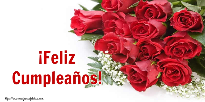 Felicitari de zi de nastere in Spaniola - ¡Feliz Cumpleaños!